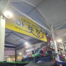 순천-61호 | 전라도 순천아랫장 61호 명태전 그리고 순천아랫장 야시장 솔직후기