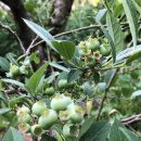 똘배농장 이미지