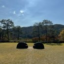 서울예술치유허브 | 호암아트홀 {루이스 부르주아 전시 후기 – 상처의 치유일까? 자기연민의 늪일까?