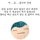 여친 주려고 산 잠만보 인형 후기 이미지