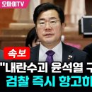 민주, 내란수괴 윤석열 구속 취소 검찰 즉시 항고하라 이미지