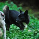 이레농장 이미지