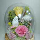 수원-0355 이미지