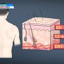 비엘에스