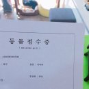 그루터기동물병원 네이버블로그