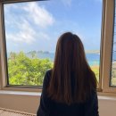백패커스빌라제주 | 제주 백패커스빌라 / 303호(바다전망, 제일큰객실) 투숙후기 / 용수항 펜션 후기