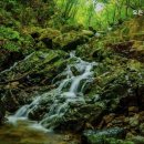 모든이의하우스 이미지