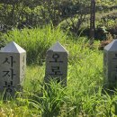 대성문화인쇄