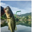 능애 낚시터 이미지