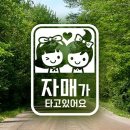 4994 쇼핑하우