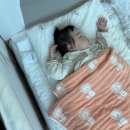 소리야네집 | 591일부터 600일까지