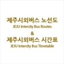 하늘타리야생화