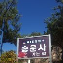 언양 자수정 동굴 후기