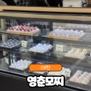 1800 | 대전 대흥동 1800원 과일모찌 찹쌀떡 영춘모찌 오픈런 웨이팅 메뉴 구매 수량 후기
