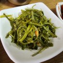양지식당 티스토리