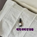 땅별꿈
