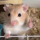 속초오징어어시장 구로디지털단지점 이미지