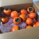 소통과 힐링의 시창작 이미지