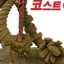 코스트고