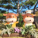 점촌-소로3-340 | 문경 약돌한우축제 구이터 가격 시세 즐길거리 볼거리