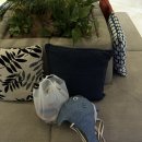 스위밍고 | [오키나와 혹등고래 와칭/스위밍 투어]한인업체 투어 리얼 후기+200% 즐기기 위한 꼼꼼 정보 총정리!