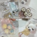 멍스월드 | [강아지수제간식] 기호성좋은 식사대용간식 “멍스월드”