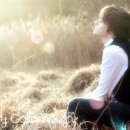 아름다운 사랑이 머무는곳 이미지