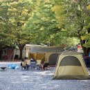 비타민캠핑장 이미지