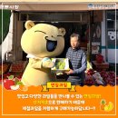 연일시장횟집 네이버블로그