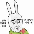 짐라이트 이미지