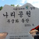 나리공원/천만송이 천일홍축제/양주시 이미지