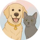 치킨마루포항원동점 이미지