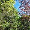 용추마을 | 함양 오르고 _황석산 거망산연계 최단코스_ 우전마을 사방댐 출발과 일주문주차장 하산