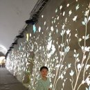 새동네경로당 | 창원 소답동 산책 코스 추천 : '행복 의창 터널' 새단장! 낮과 밤이 예쁜 힐링 명소