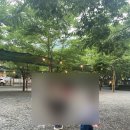 상주조은 | 대구 근교 계곡 청도 조은자리캠핑장 평상