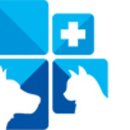 신세계 동물병원 이미지