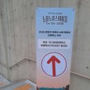 그늘막34 | 2025년 아모레퍼시픽공감재단 Look at ME 청년 마음 콘서트 유다빈밴드 윤마치 직관후기(노들섬)