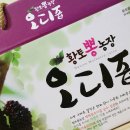 황토뽕 농장 이미지