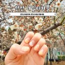 봄네일 | 안산중앙동네일 네일터쳐블 봄네일 후기