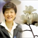 영보물산