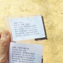 셀비어 하우스1