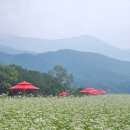 영남알프스숲길사회적협동조합