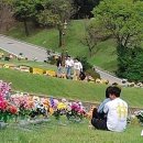 충북 공원묘지 곳곳 성묘객 북적 가족단위 나들이객 웃음 가득 이미지