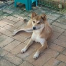 금비농장 이미지