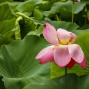 속초초등학교 이미지