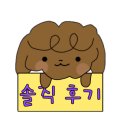 백령안경콘텍트 네이버블로그