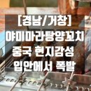 거창읍-20 | [경남/맛집] 야미마라탕양꼬치 거창점에서 중국맛집 찾은후기