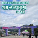 계룡태권도 | 2025 계룡 군 문화 축제 방문후기