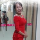 빠꿈사리