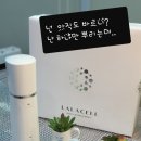 라셀 이미지